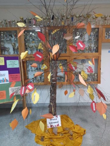 b_1024_768_0_00_images_2023_2024_Homa_tolerancja_369173548_826771859191120_4627253125251526592_n